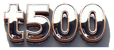 t500 logo